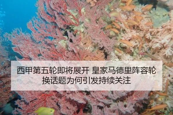 西甲第五轮即将展开 皇家马德里阵容轮换话题为何引发持续关注